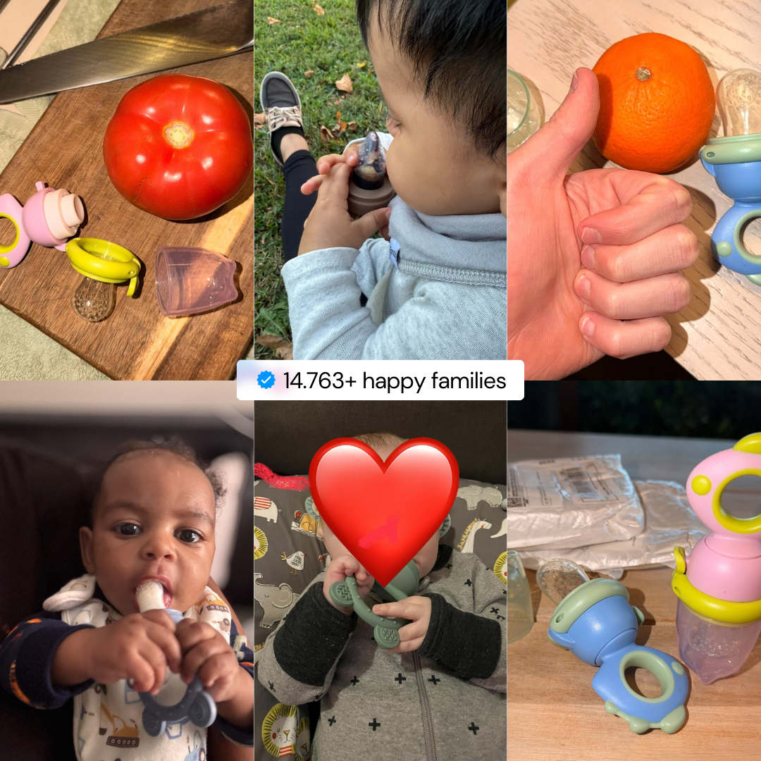 Mila™ Baby Food Feeder