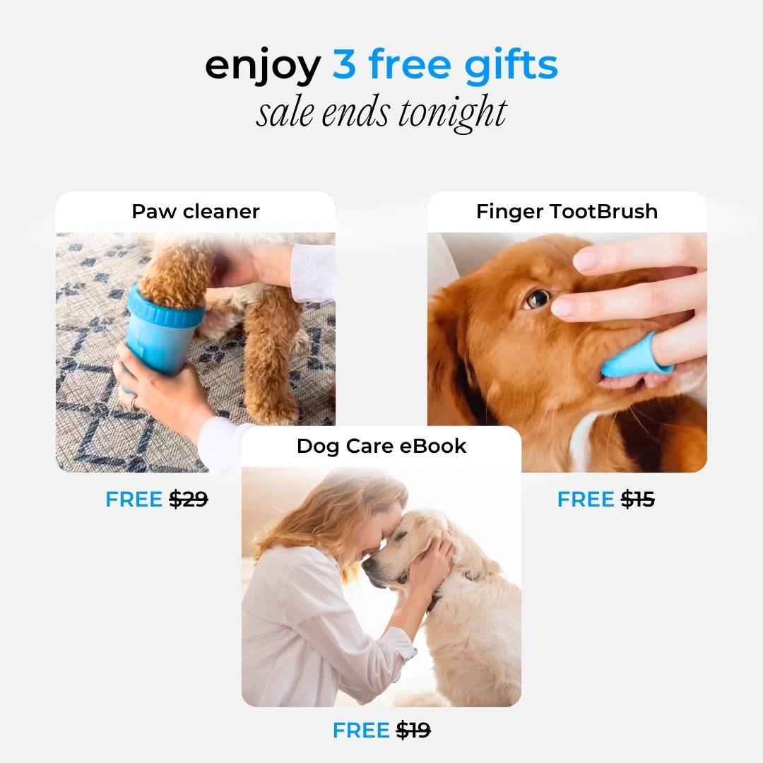 PetRinse – Easy Dog Shower