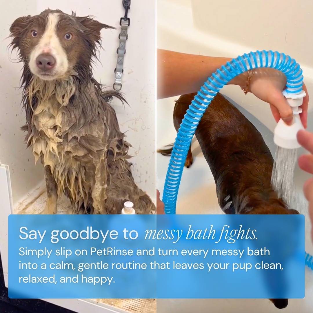 PetRinse – Easy Dog Shower
