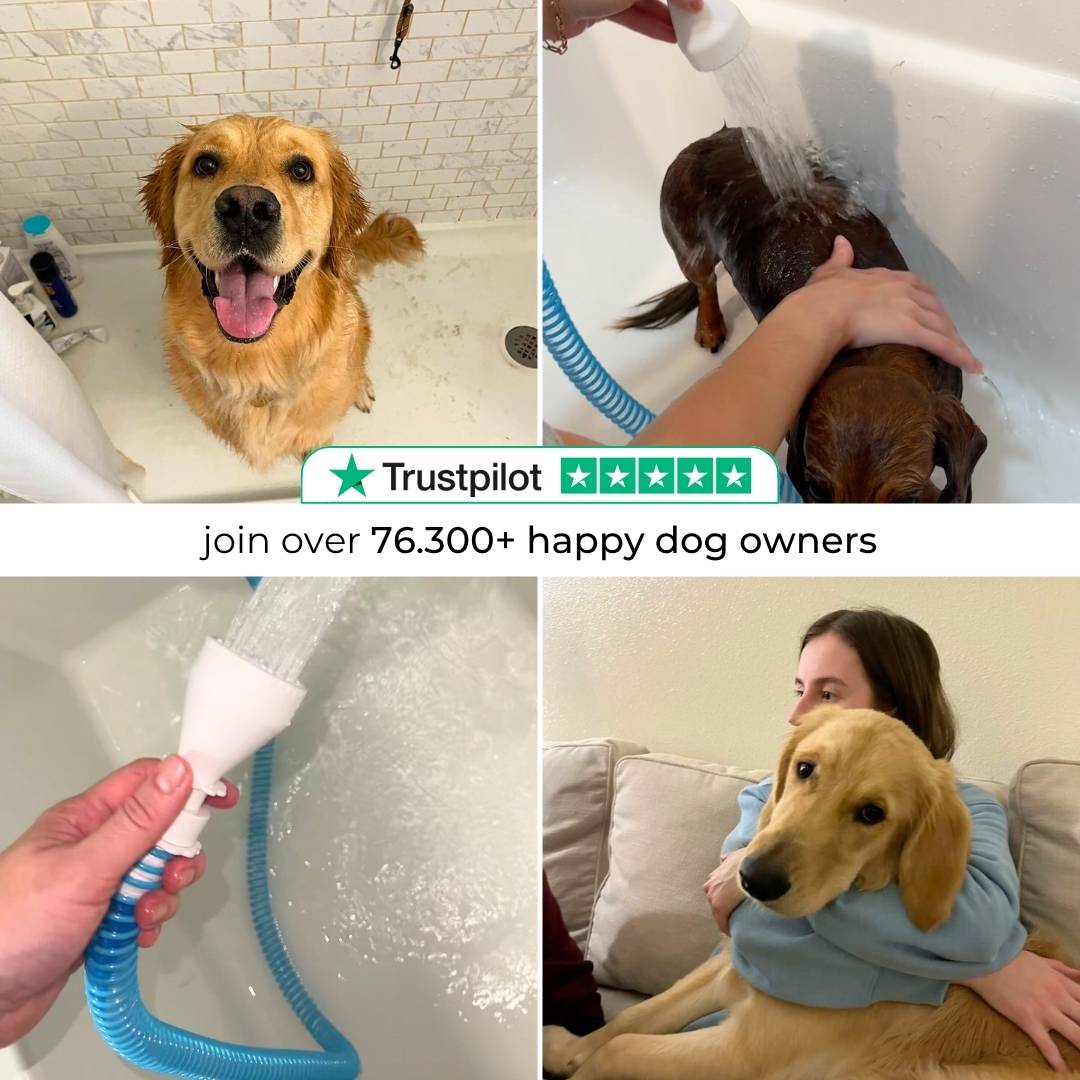 PetRinse – Easy Dog Shower